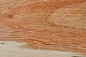 cyp6-min