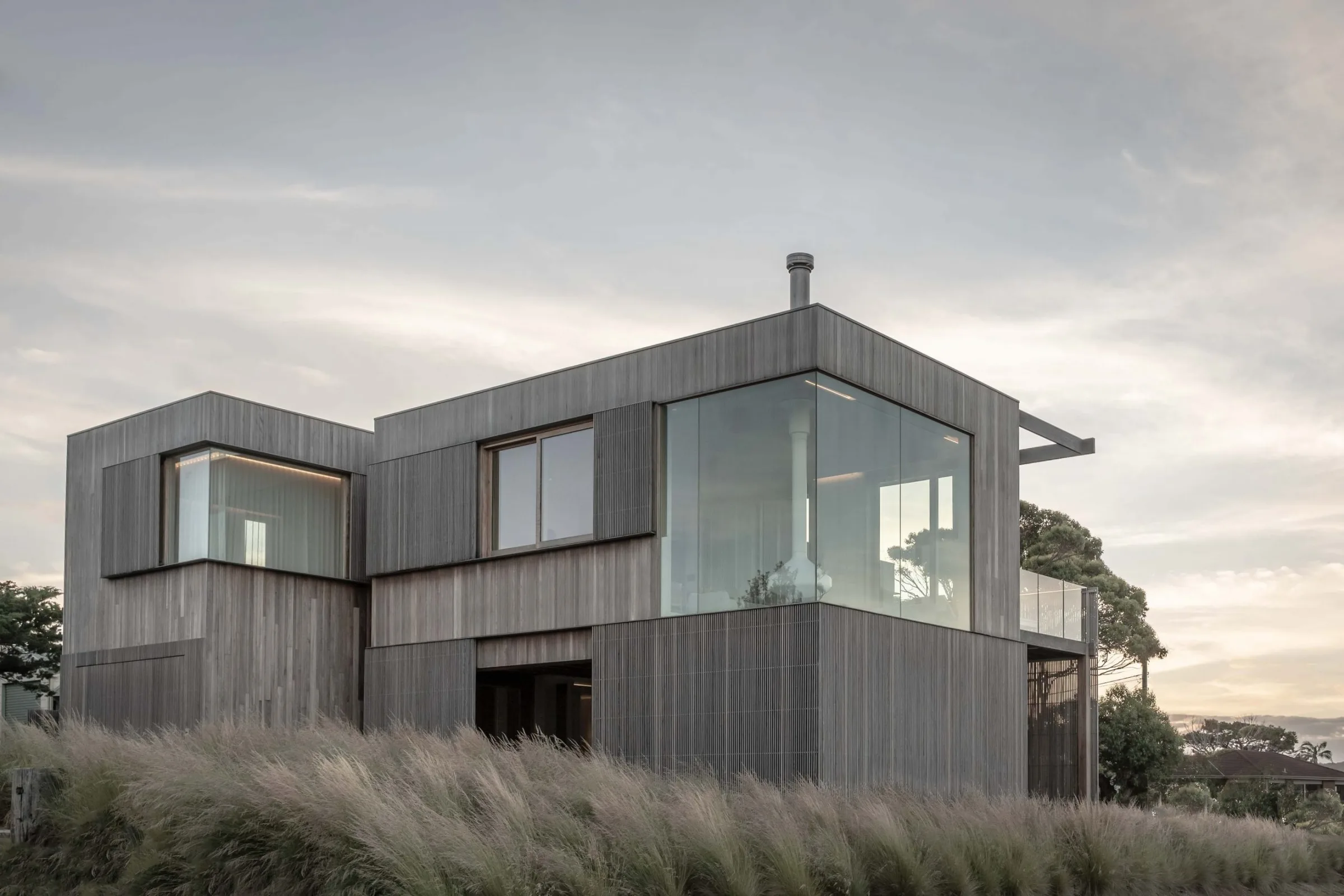 cd50 spotted gum