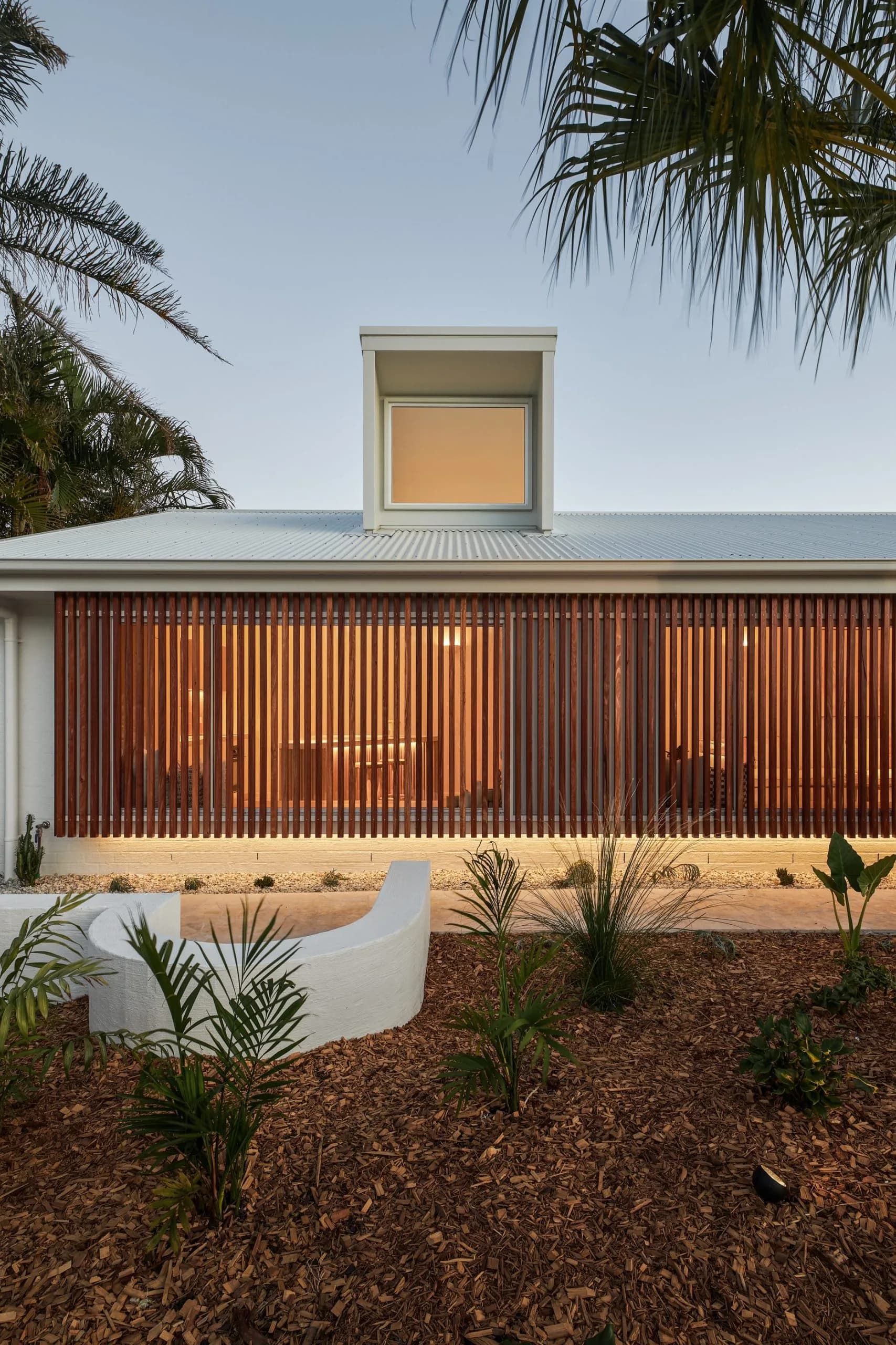 cd50 clear spotted gum 6
